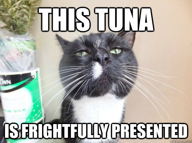 This tuna is frightfully presented - This tuna is frightfully presented  snob cat