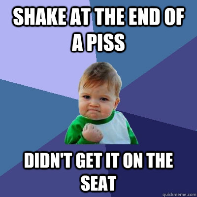 shake at the end of a piss didn't get it on the seat  Success Kid
