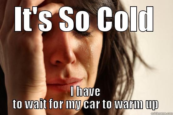IT'S SO COLD I HAVE TO WAIT FOR MY CAR TO WARM UP First World Problems