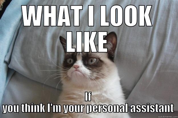 Personal Assistant - WHAT I LOOK LIKE IF YOU THINK I'M YOUR PERSONAL ASSISTANT Grumpy Cat