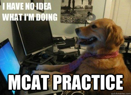  MCAT Practice -  MCAT Practice  I have no idea what Im doing dog