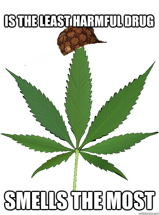 Is the least harmful drug Smells the most - Is the least harmful drug Smells the most  Scumbag cannabis