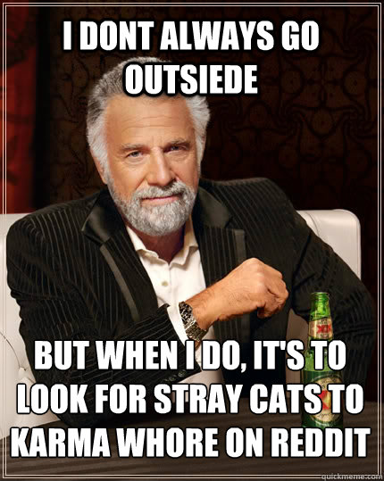 I DOnt always go outsiede But when I do, IT's to look for stray cats to karma whore on reddit  The Most Interesting Man In The World