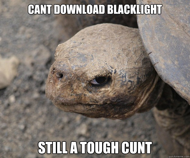 Cant download blacklight still a tough cunt  Insanity Tortoise