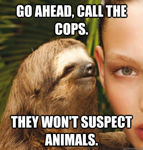 Go ahead, call the cops. They won't suspect animals. - Go ahead, call the cops. They won't suspect animals.  Whispering Sloth