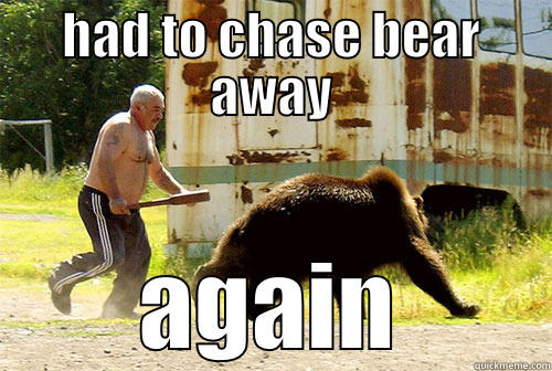HAD TO CHASE BEAR AWAY AGAIN Misc