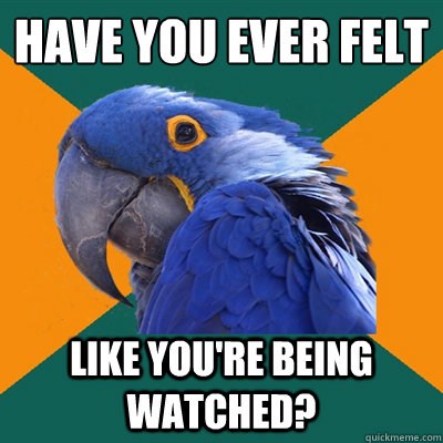 Have you ever felt Like you're being watched?  Paranoid Parrot