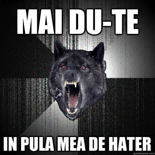 MAI DU-TE IN PULA MEA DE HATER  Insanity Wolf