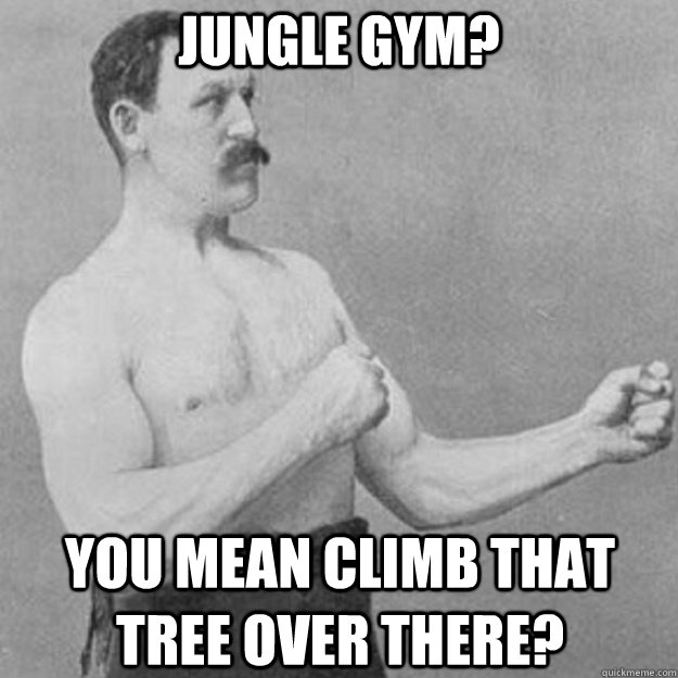 jungle gym? you mean climb that tree over there?  overly manly man