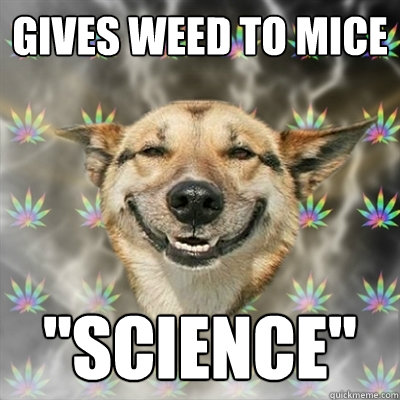 Gives Weed to Mice 