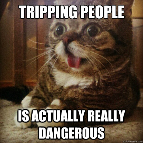 Tripping People Is actually really dangerous   Sudden Clarity Cat