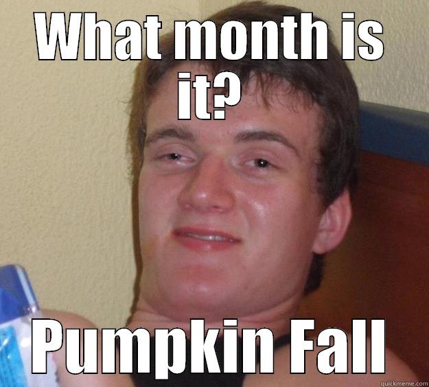 WHAT MONTH IS IT? PUMPKIN FALL 10 Guy