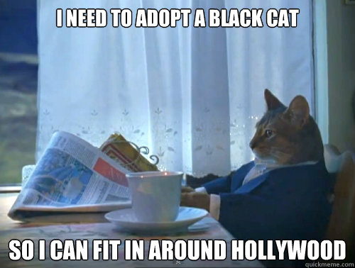 I need to adopt a black cat so I can fit in around hollywood  The One Percent Cat