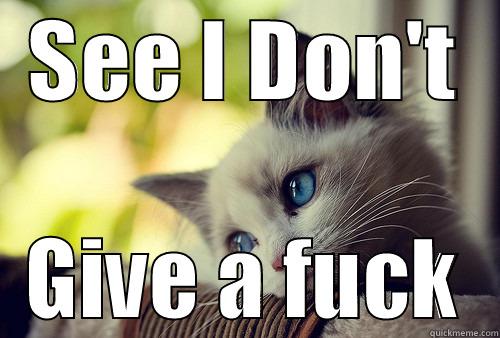 SEE I DON'T GIVE A FUCK First World Problems Cat