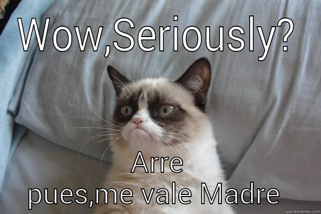 WOW,SERIOUSLY? ARRE PUES,ME VALE MADRE  Grumpy Cat