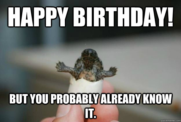 Happy Birthday! But you probably already know it.   Badass Baby Turtle