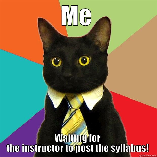 ME WAITING FOR THE INSTRUCTOR TO POST THE SYLLABUS! Business Cat