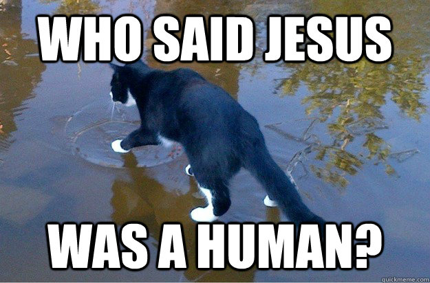 Who said Jesus  Was a human?  Jesus Cat