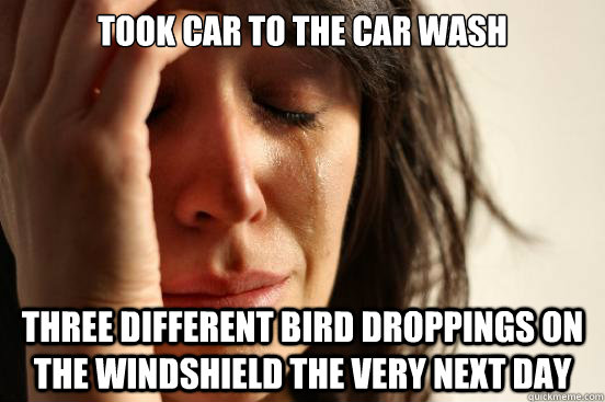 took car to the car wash three different bird droppings on the windshield the very next day  First World Problems