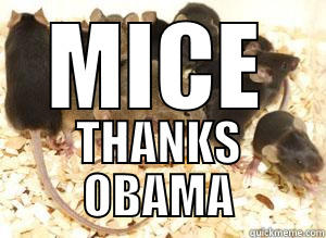 MICE THANKS OBAMA Misc