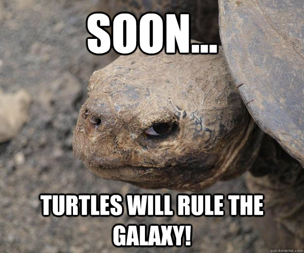 soon... turtles will rule the galaxy!  Murder Turtle