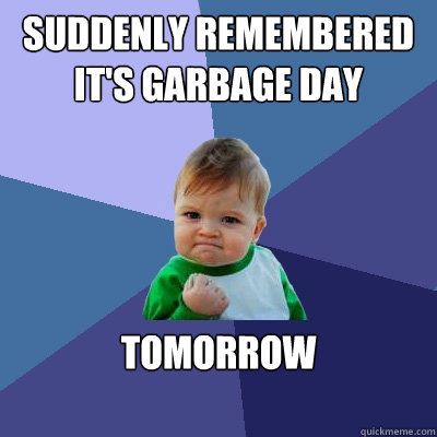 suddenly remembered it's garbage day tomorrow - suddenly remembered it's garbage day tomorrow  Success Kid