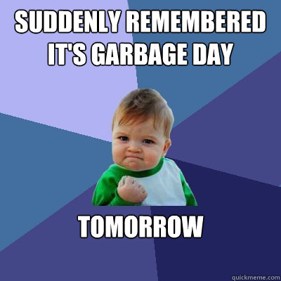suddenly remembered it's garbage day tomorrow  Success Kid