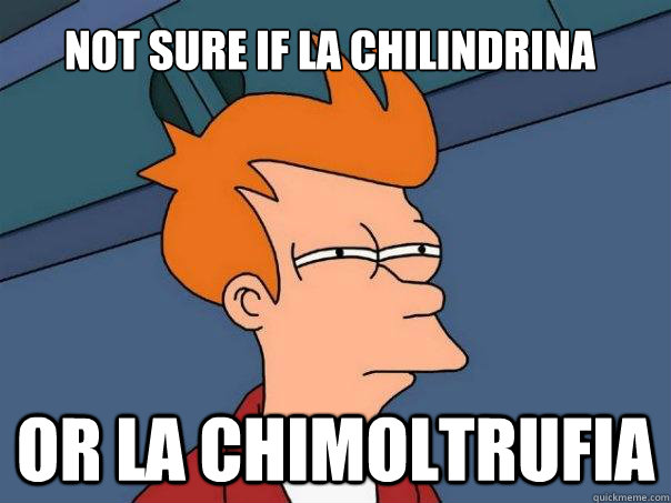 Not sure if La chilindrina Or la chimoltrufia  Futurama Fry