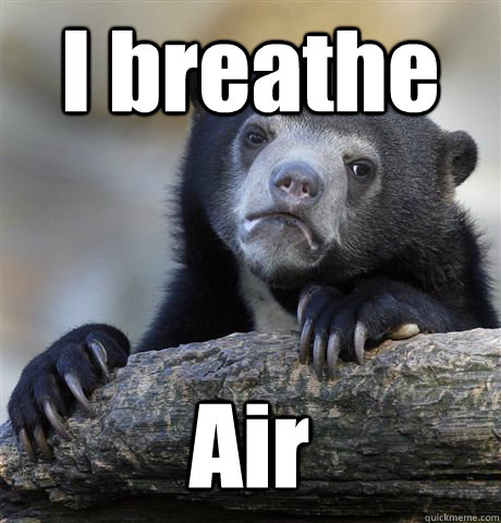 I breathe Air  Confession Bear