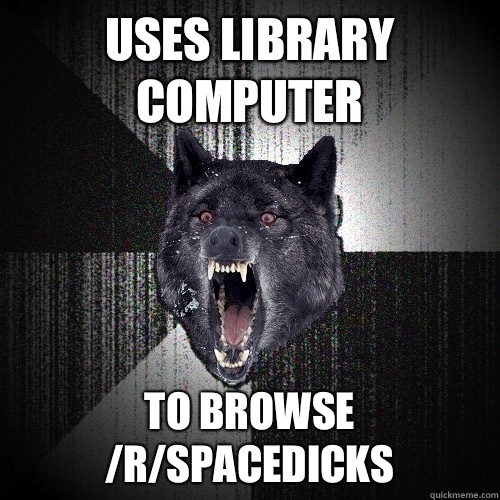 Uses Library Computer To browse /r/spacedicks  Insanity Wolf