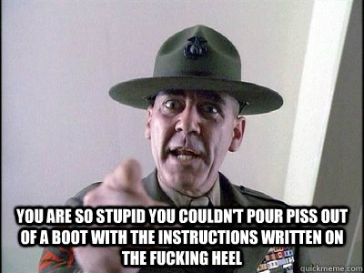  you are so stupid you couldn't pour piss out of a boot with the instructions written on the fucking heel -  you are so stupid you couldn't pour piss out of a boot with the instructions written on the fucking heel  R LEE ERMEY