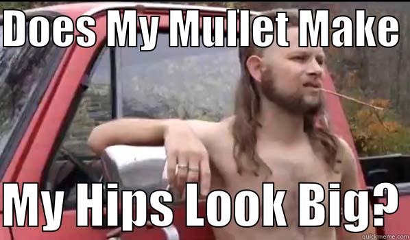 DOES MY MULLET MAKE   MY HIPS LOOK BIG? Almost Politically Correct Redneck