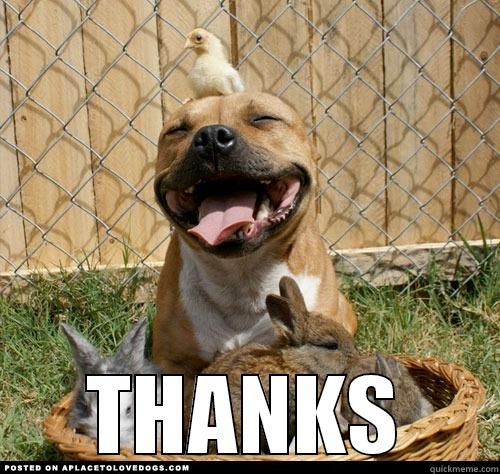 Happy Dog Says Thank You -  THANKS Misc