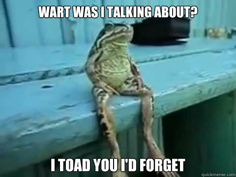 Wart was I talking about? I toad you i'd forget  SITTING FROG