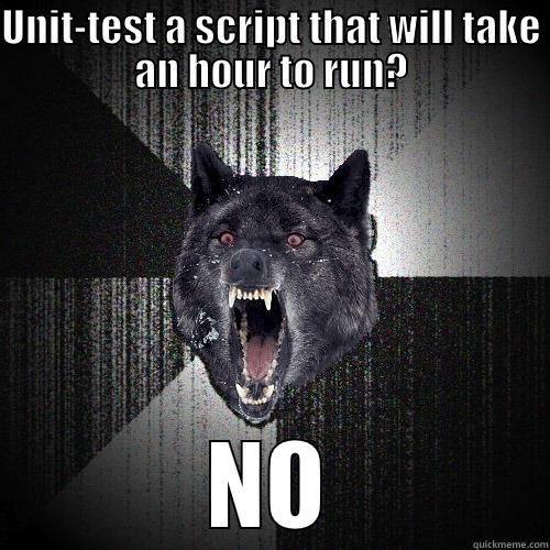 UNIT-TEST A SCRIPT THAT WILL TAKE AN HOUR TO RUN? NO Insanity Wolf