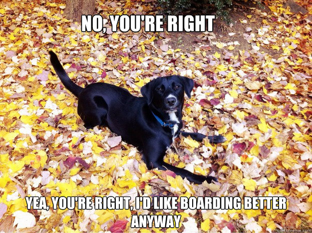 No, you're right yea, you're right, I'd like boarding better anyway your best friend should sleep on the floor.  - No, you're right yea, you're right, I'd like boarding better anyway your best friend should sleep on the floor.   Guilt Giving Good Dog