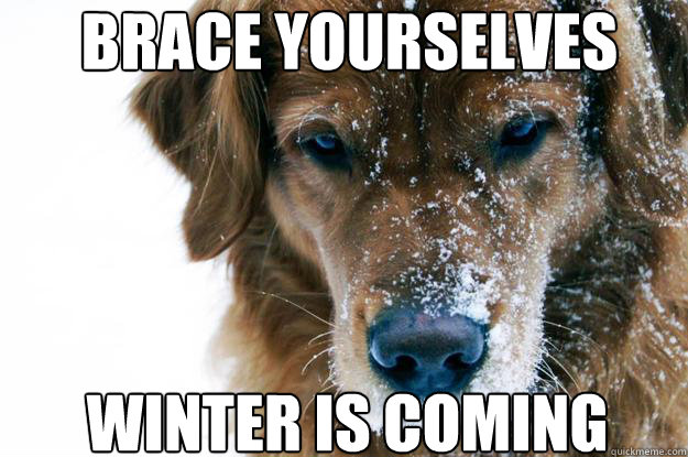 brace yourselves Winter is coming - brace yourselves Winter is coming  direwolf
