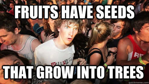Fruits have seeds that grow into trees  Sudden Clarity Clarence