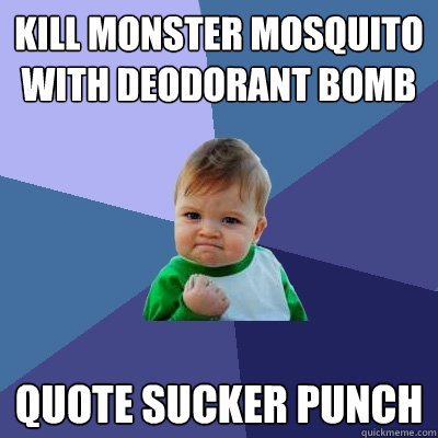 KILL MONSTER MOSQUITO WITH DEODORANT BOMB QUOTE SUCKER PUNCH  Success Kid