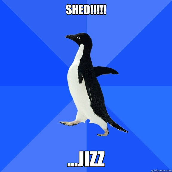 SHED!!!!! ...jizz  Socially Awkward Penguin