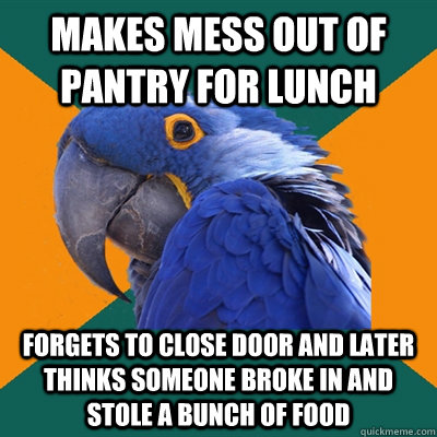 Makes mess out of pantry for lunch Forgets to close door and later thinks someone broke in and stole a bunch of food  Paranoid Parrot