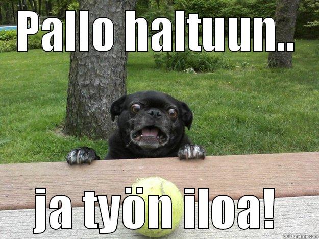 Loma painaa - PALLO HALTUUN.. JA TYÖN ILOA! Berks Dog