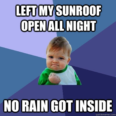 Left my sunroof open all night no rain got inside  Success Kid