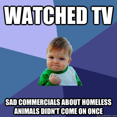watched tv  sad commercials about homeless animals didn't come on once  Success Kid