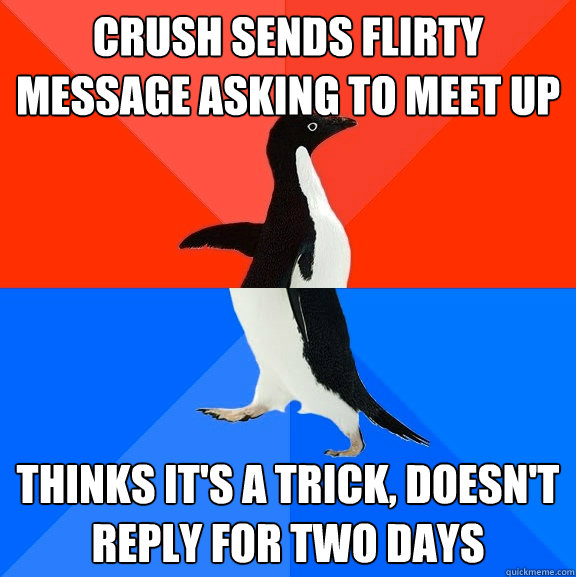 Crush sends flirty message asking to meet up Thinks it's a trick, doesn't reply for two days - Crush sends flirty message asking to meet up Thinks it's a trick, doesn't reply for two days  Socially Awesome Awkward Penguin