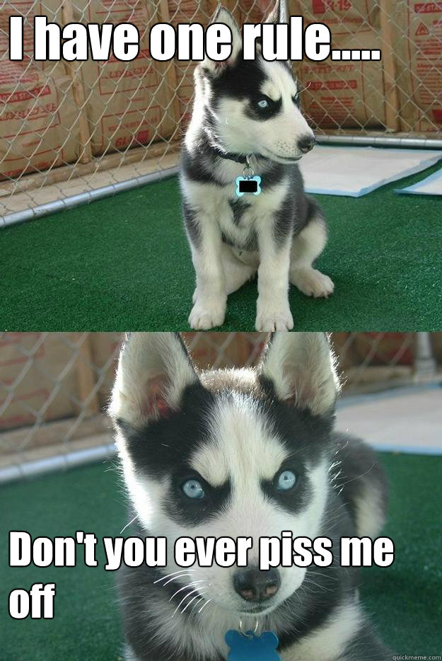 I have one rule..... Don't you ever piss me off  Insanity puppy