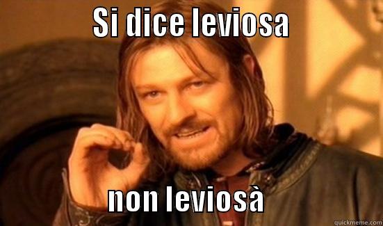 VINGARDIUM LEVIOSA -              SI DICE LEVIOSA                                 NON LEVIOSÀ                     Boromir