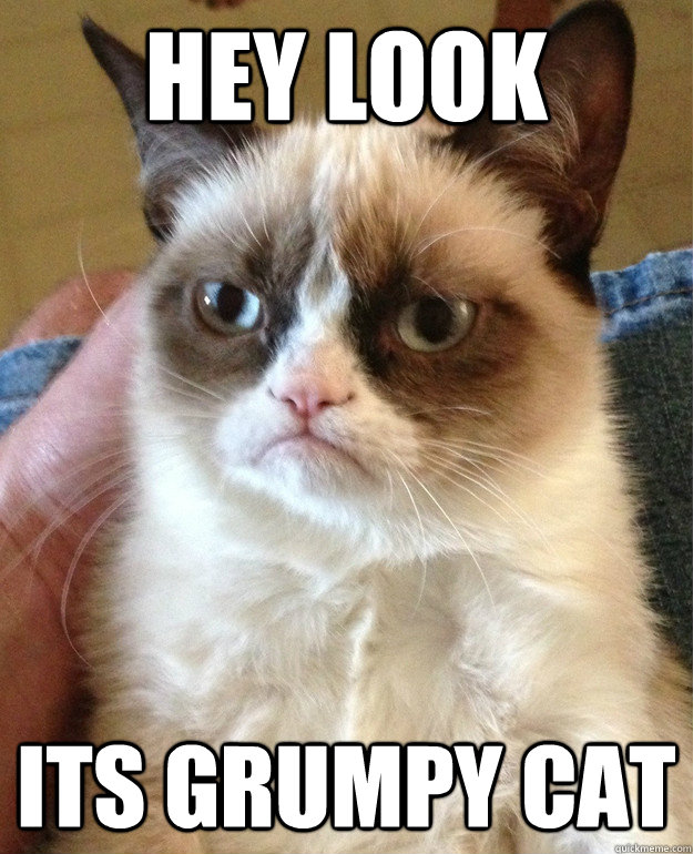 Hey Look its grumpy cat - Hey Look its grumpy cat  Misc