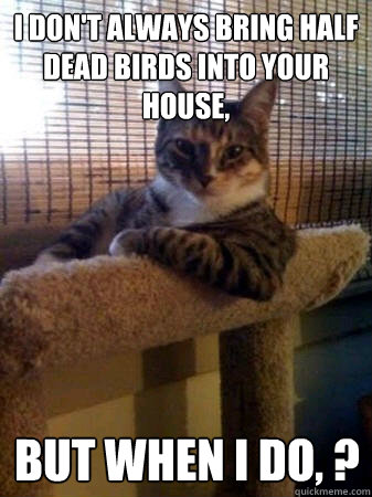 I don't always bring half dead birds into your house, but when I do, ?  The Most Interesting Cat in the World