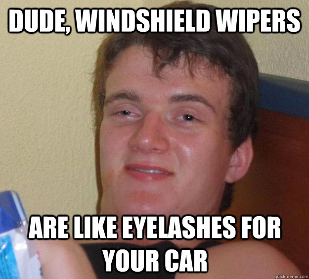 Dude, windshield wipers are like eyelashes for your car - Dude, windshield wipers are like eyelashes for your car  10 Guy